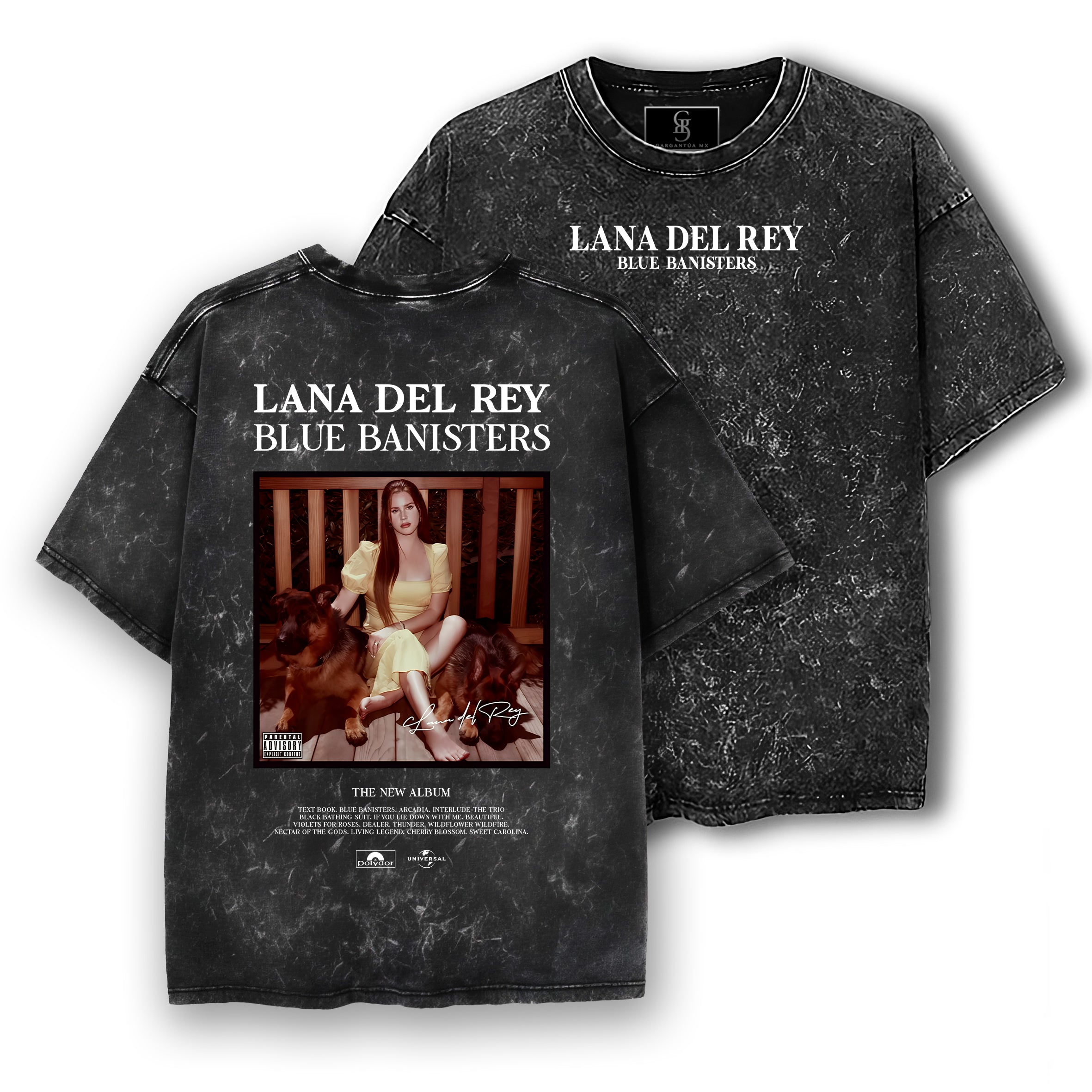 Playera Lana Del Rey "Blue Banisters"